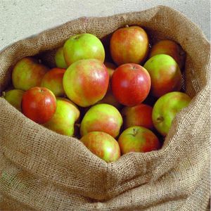 Produktbild für Jutesack NOOR S 070601053203, extra stark, 3 Stück