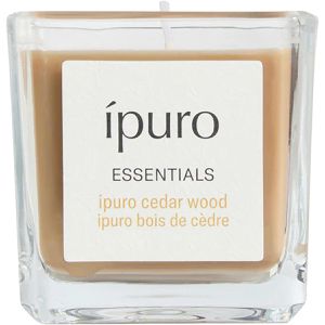Duftkerzen ipuro Essentials cedar wood