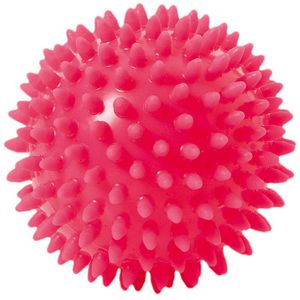 Produktbild für Igelball Togu Noppenball Set