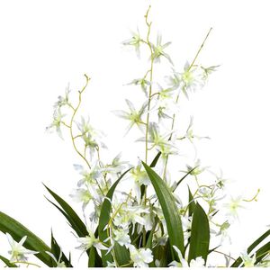 Creativ-green Kunstblume Orchidee, Höhe – AG Böttcher weiß, Queen, Dancing Oncydie, im Topf, cm 60
