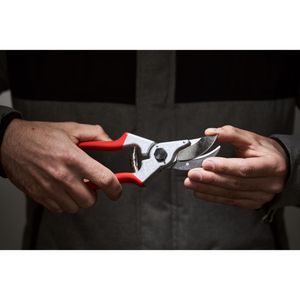 Produktbild für Gartenschere FELCO 4, Bypass