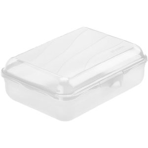 Rotho Lunchbox Funbox 1710600096, Kunststoff, Brotdose, 19,5 x 4 x 14,5cm, 1,25 l