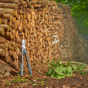 Produktbild für Astschere Gardena EnergyCut Pro S, 12050-88