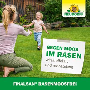 Produktbild für Moosvernichter Neudorff Finalsan RasenMoosfrei, Konzentrat