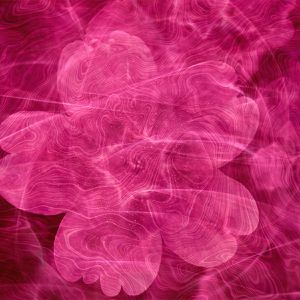 Produktbild für Transferfolie craftcut 40511 Ink Transfer-Sheet Pink Flower
