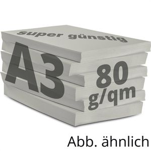 Produktbild für Kopierpapier Papyrus Rainbow 88042786