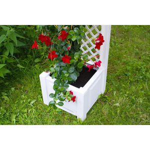 Produktbild für Pflanzkasten KHW Czardas 37201 weiß