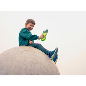 Produktbild für Trinkflasche SIGG Viva One Jurassica