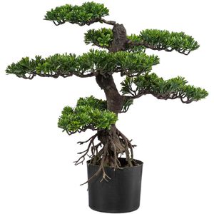 Kunstpflanze Creativ-green Bonsai