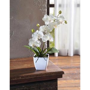 40 Kunstblume im weiß, cm Höhe Orchidee, Frank-Flechtwaren Böttcher – Kunststoff-Topf, AG