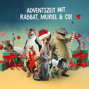 Produktbild für Adventskalender Kosmos Die Schule der magischen Tiere, 2026