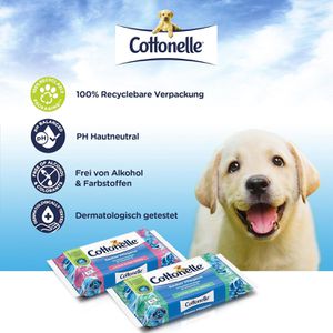 Produktbild für Toilettenpapier Cottonelle Sauber Pflegend, feucht