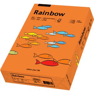 Produktbild für Kopierpapier Papyrus Rainbow 88042436