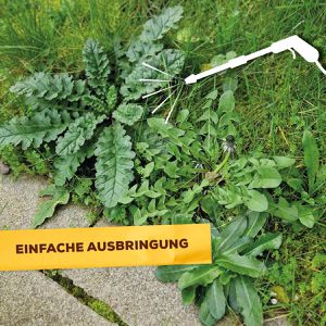 Produktbild für Grundstoff Solabiol Essig, Konzentrat