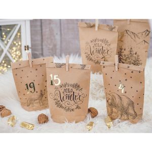 Produktbild für Adventskalender Papierdrachen Cozy Winter