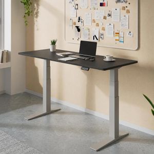 Produktbild für Schreibtisch FlexiSpot E7S-Pro 2026, schwarz / grau