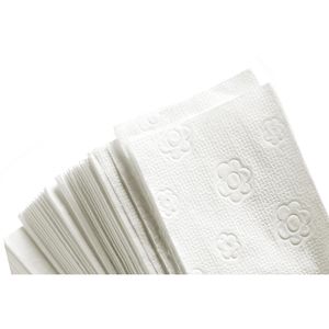 Produktbild für Papierhandtücher Fripa Comfort, 4042102, 2-lagig