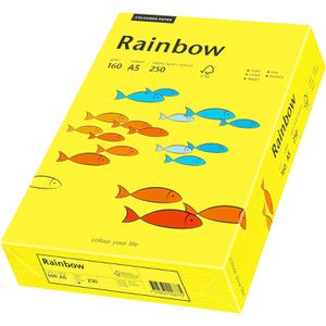Produktbild für Kopierpapier Papyrus Rainbow 88373763