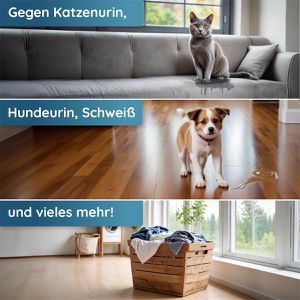 Produktbild für Enzymreiniger Hauszauber Geruchsentferner, Zauberfrische