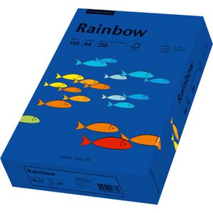 Produktbild für Kopierpapier Papyrus Rainbow 88042769