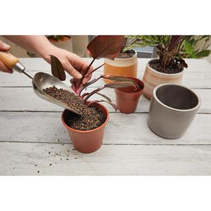 Produktbild für Pflanzsubstrat Westland POR Universal-Granulat, 6 Liter