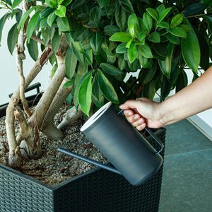 Produktbild für Gießkanne Mesto Happy Stone, anthrazit