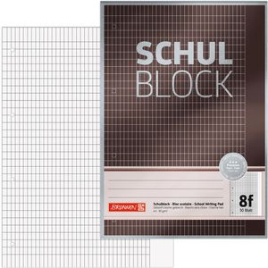 Briefblock Brunnen 1052608 Schulblock Premium, A4