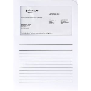 Produktbild für Sichtmappen ELCO 73695.10 ORDO Classico, mit Sichtfenster, A4