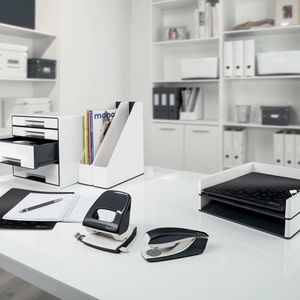 Produktbild für Heftbox Leitz WOW, 4629-00-95, aus Kunststoff, A4