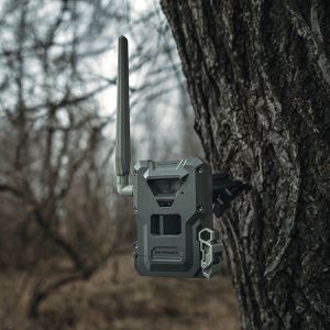 Produktbild für Wildkamera Spypoint FLEX-M2 LTE 4G