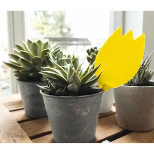 Produktbild für Gelbtafeln Substral Naturen, Set, zum Hängen und Stecken