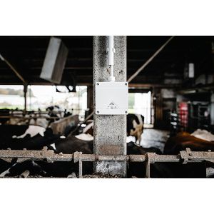 Produktbild für Abzweigdose Spelsberg Abox Pro 060-6², wasserdicht IP69, außen