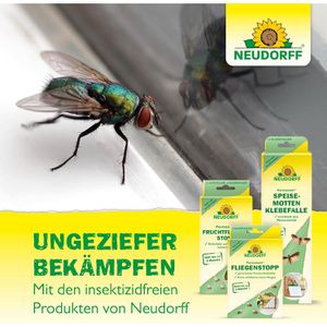 Produktbild für Fliegenfalle Neudorff Permanent FliegenFänger, zum Aufhängen
