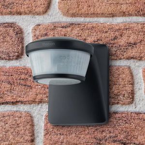Produktbild für Bewegungsmelder Theben theLuxa P220 BK PIR