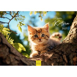 Produktbild für Bildkalender Edition-Seidel 31069, Süße Katzen, Jahr 2027