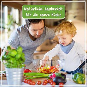 Produktbild für Hygienereiniger Poliboy Bio, Küche, 02500