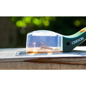 Produktbild für Insektenfänger Carson-Optical BugView, mit Lupe