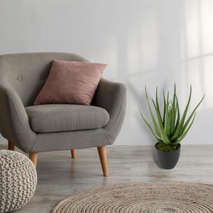 Produktbild für Kunstpflanze I.GE.A. Aloe Vera