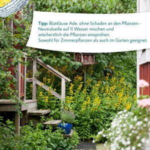 Produktbild für Allzweckreiniger HAKA Neutralseife Original