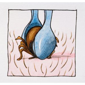 Produktbild für Zeckenzange REMOS Löffelform, 7371E