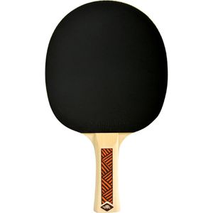 Produktbild für Tischtennisschläger Donic-Schildkröt Champs Line 300