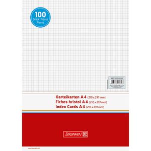 Produktbild für Karteikarten Brunnen 102240200, A4