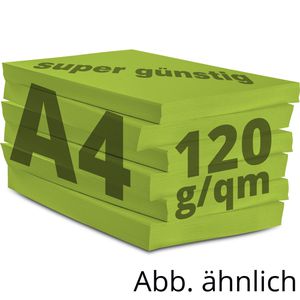 Produktbild für Kopierpapier Papyrus Rainbow 88042612
