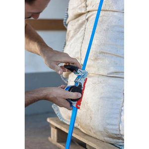 Produktbild für Spanngurt Kerbl 37321, blau, mit Spitzhaken &amp; Ratsche