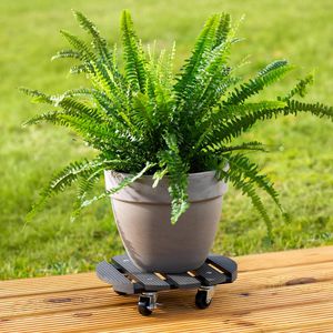 Produktbild für Pflanzenroller Metafranc WU0825130, für innen und außen