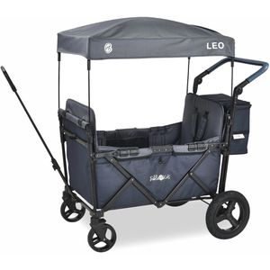 Bollerwagen FableKids Leo X2 Plus, faltbar
