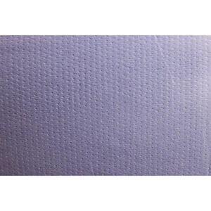 Produktbild für Putztuchrolle Papernet 412058, aus Zellstoff, blau