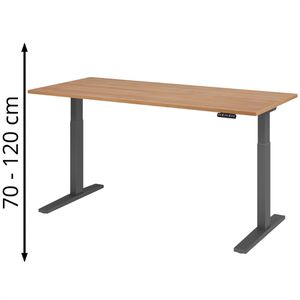 Schreibtisch Hammerbacher XMKA 19, nussbaum / graphit