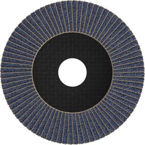 Produktbild für Fächerschleifscheibe Bosch PRO X571