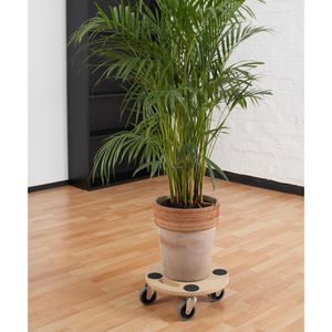 Produktbild für Pflanzenroller Metafranc WU0821360, für innen